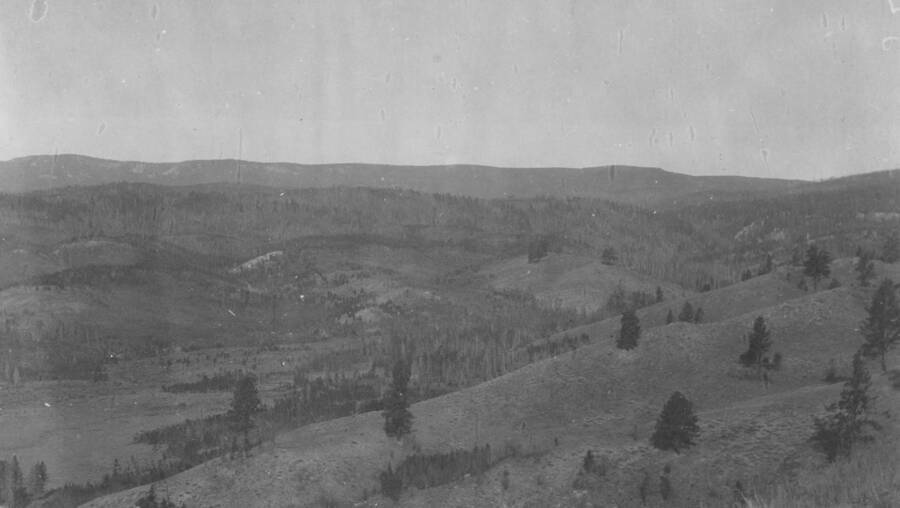 Photo text: 'Reproduction and second growth of lodgepole on burns.' This is image is part of a report on the proposed Payette Forest Reserve by R.E. Benedict, 1904.
