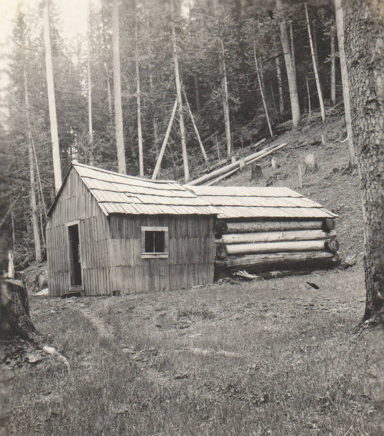 Photo text: 'Cabin of William Stoddard, May 29, 1909. Claimant abandoned for valuable consideration in favor of scrip claimants.' Note: Marble Creek region homesteads at this time were often part of a homesteads fraud being documented by the US Forest Service.