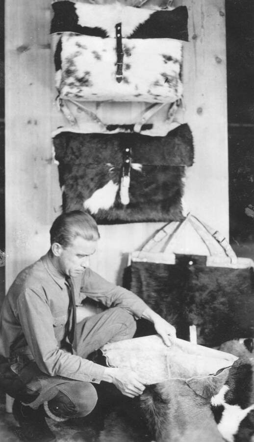 Photo text: 'Pack bags made out of tanned Drouth Relief Cow Hide.' This image is part of a report by the United States Department of Agriculture Biological Survey on predation and pests.