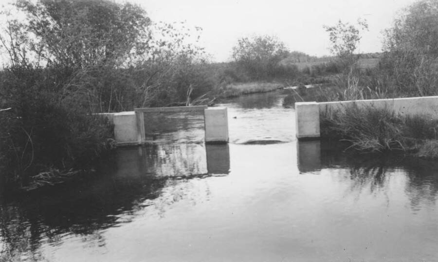 Project 145, Maintenance of rearing ponds, $200. Screens made for or repaired. Awaiting shipment of fish from Federal Hatchery. Remaining funds to be used in cleaning screens.' Note: This image is part of a report by V.W. Balderson to Director of Indian Affairs, D.E. Murphy on CCC-Indian Division Projects completed by the Fort Hall Agency, Fort Hall, Idaho.