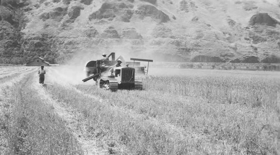 Photo caption: 'Alex [Pinkham] and his harvesting machinery in action.' This image is part of a report regarding farm organizations among tribes in Northern Idaho and the CCC-Indian Division.