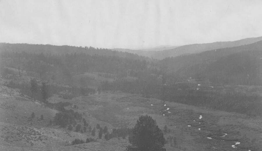 Photo text: 'Meadows and bull pine slopes in background' This is image is part of a report on the proposed Payette Forest Reserve by R.E. Benedict, 1904.