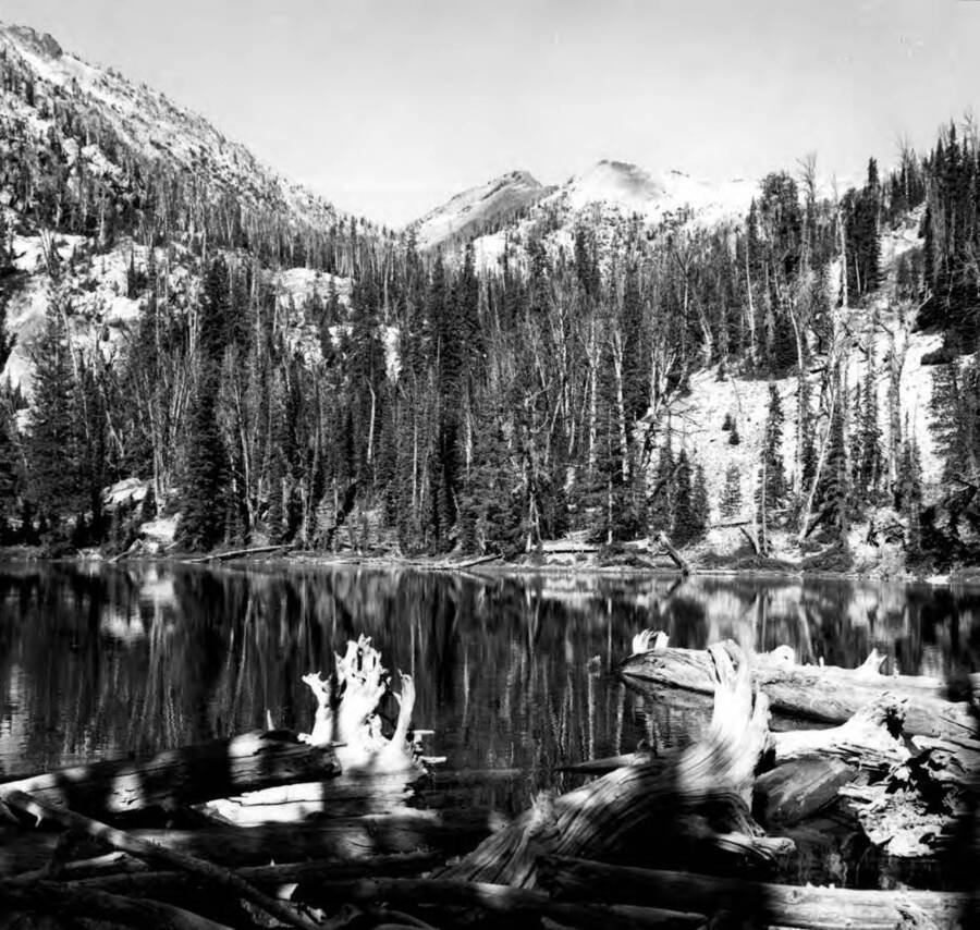 Photo text: 'Water Influence Zone. One of the Pudding Lakes in the Crags Recreation Area. Aug. 15, 1962.'
