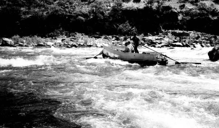 Photo text: 'Rubber boast sweeps just below Stoddard Bar -- Middle Fork of the Salmon River. July 29, 1964.'