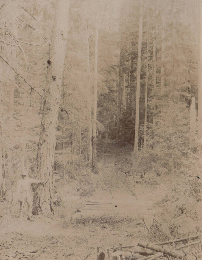 Photo text: 'On road to Priest Lake from Priest River Station.' Note: This image is part of a short series taken by Gifford Pinchot in Idaho's Priest River region.