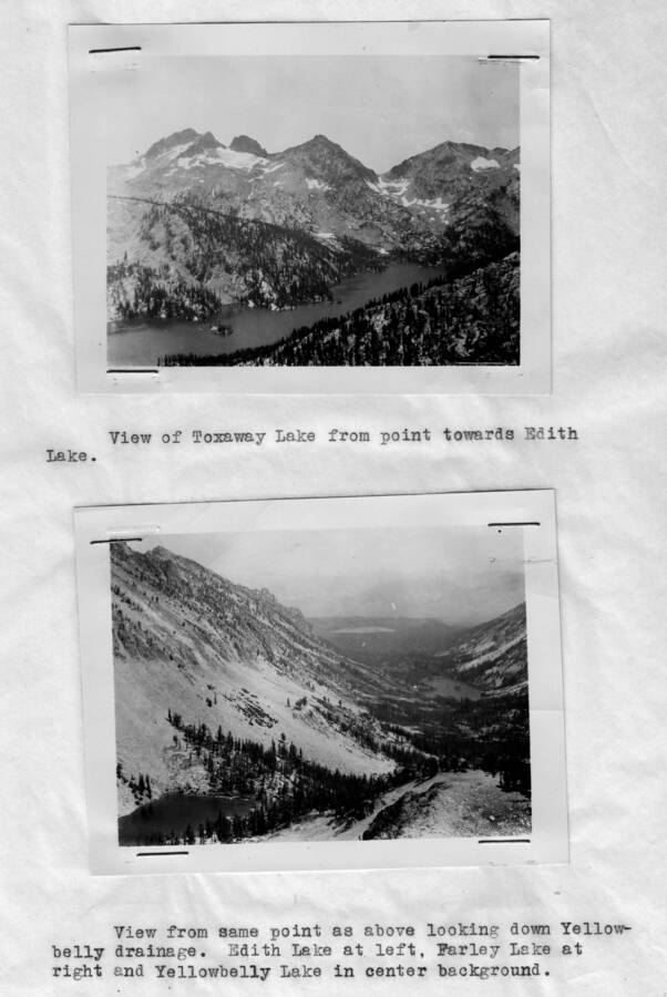 This image is part of a document titled 'Report upon the proposed Salmon River Forest and additions to Sawtooth, Bitterroot, and Lemhi Reserves, Idaho.' Collected by William T. Cox, 1904.