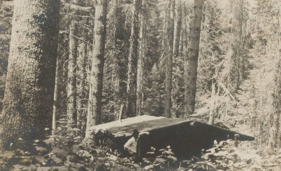Photo text: 'An 'Agricultural' Claim on the Coeur d'Alene National Forest.' This image is part of a pictorial narrative by William W. Morris titled 'Experiences on a National Forest'.