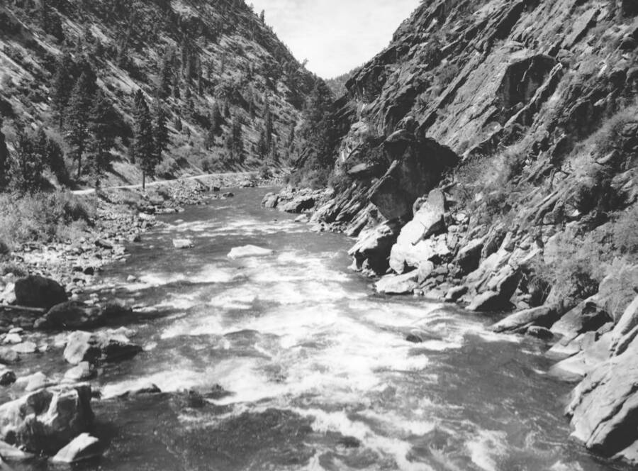 Photo text: 'Looking down stream from bridge crossing Salmon River about one mile W. of Shoup, Idaho.'