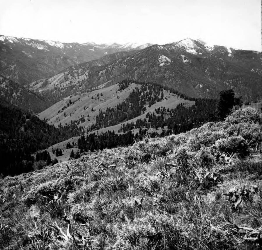 Photo text: 'General view of terrain in Castle Fork, Little Loon Creek looking west from ridge at saddle. June 22, 1964.'