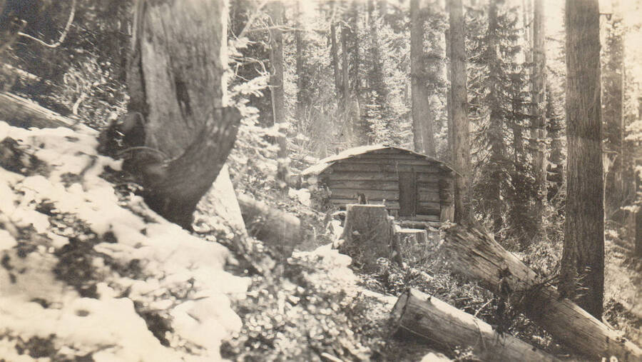 Photo text: Photo text: 'Cabin on claim of Geo.W. Spencer, in Sec. 35, T. 45N., R. 2E. Located March 23, 1902. Photo October 31, 1905. at time of location the claimant was an invalid and died at St. Maries, Idaho, about October 5, 1905, up to which time his wife, afterwards a claimant as a widow of original claimant, had never been on the land. No record of ultimate outcome of this case.' Note: Marble Creek region homesteads at this time were often part of a homesteads fraud being documented by the US Forest Service.