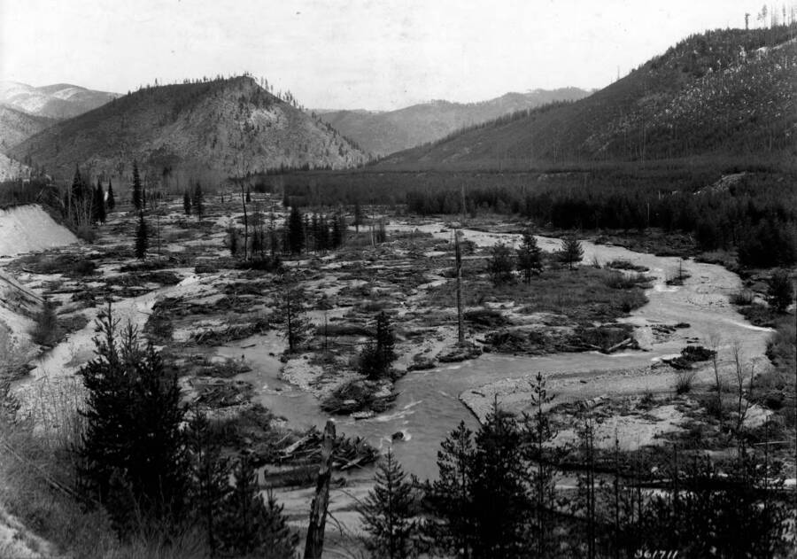 Photo text: 'Result of 1910 fires. A view at the lower end of the Big Creek valley. This entire bottom was submerged during the spring freshet of 1938. Beaver dams which tended to hold back excessive stream flow in normal year were swept away. Many changes in the stream channel took place over night. Silt and gravel was carried downstream in enormous quantities. Thousands of dollars damage was done to highways, railroads, and building below.'