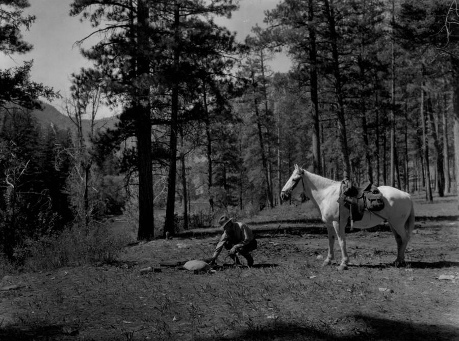 A man squats near an apparent campsite while holding the reins of his horse. The site is along the Middle Fork of the Salmon River near Loon Creak.
