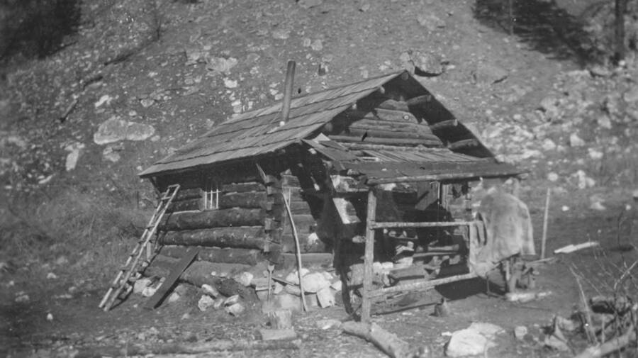 Photo text: 'Typical trappers cabin on Salmon River. Not much for looks but serviceable.' This image is part of a report by the United States Department of Agriculture Biological Survey on predation and pests.