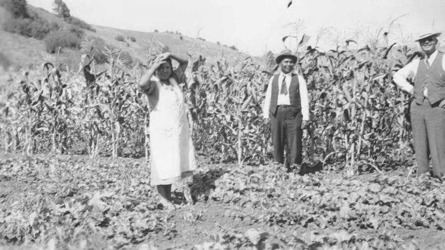 Photo caption: 'Farm Aid Wheeler and Supervisor Bristol make an inspection of the garden and corn patch of Ella Frank of Kamiah.' This image is part of a report regarding farm organizations among tribes in Northern Idaho and the CCC-Indian Division.