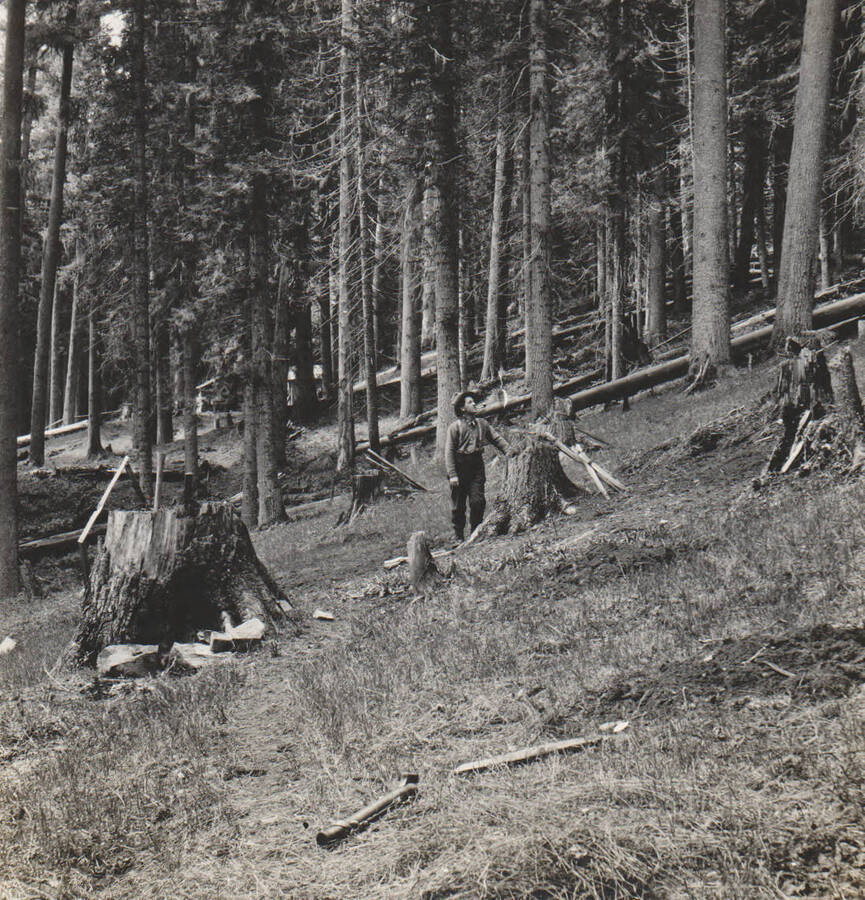 Photo text: 'The clearing on the claim of George Root, May, 29, 1909, soon after he had sold his rights to the scrip for $8000. He had been in conflict with the scrip location.' Note: Marble Creek region homesteads at this time were often part of a homesteads fraud being documented by the US Forest Service.