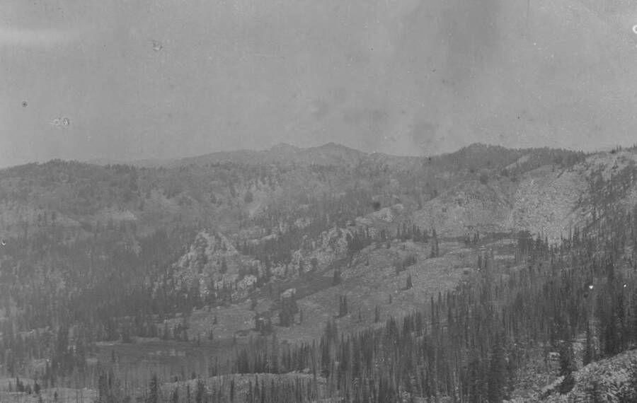 Photo text: 'View of Bear Basin, looking toward Warm Lake. The forest growth is very open and large numbers of sheep are run here. This region drains into the Salmon River.' This is image is part of a report on the proposed Sawtooth Forest Reserve by Hugh P. Baker, 1904.