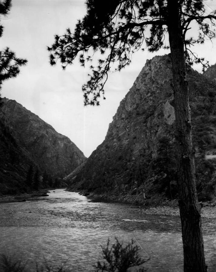 Photo text: 'Middle Fork of Salmon River where it joins the muddy waters of the Salmon River along which much placer mining is carried on.'