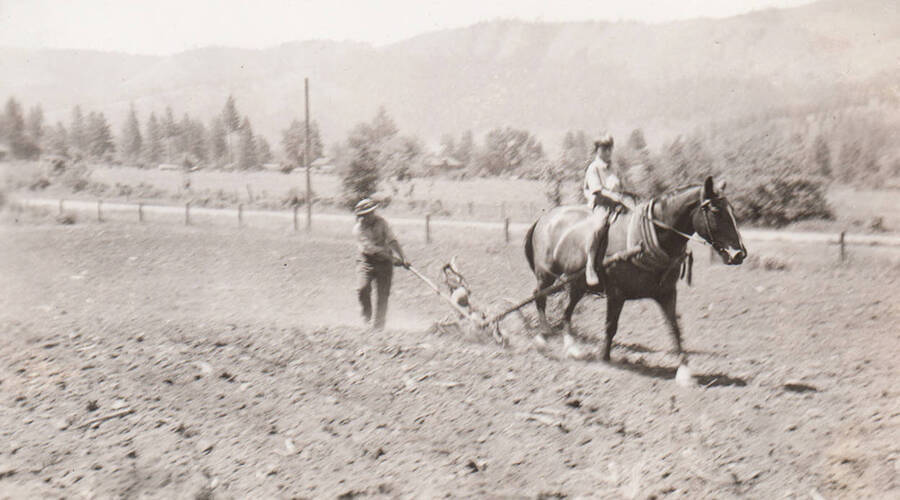 Photo caption: '[4H club member Timothy Wheeler]. He hits a stump that almost upsets him.' This image is part of a report regarding farm organizations among tribes in Northern Idaho and the CCC-Indian Division.