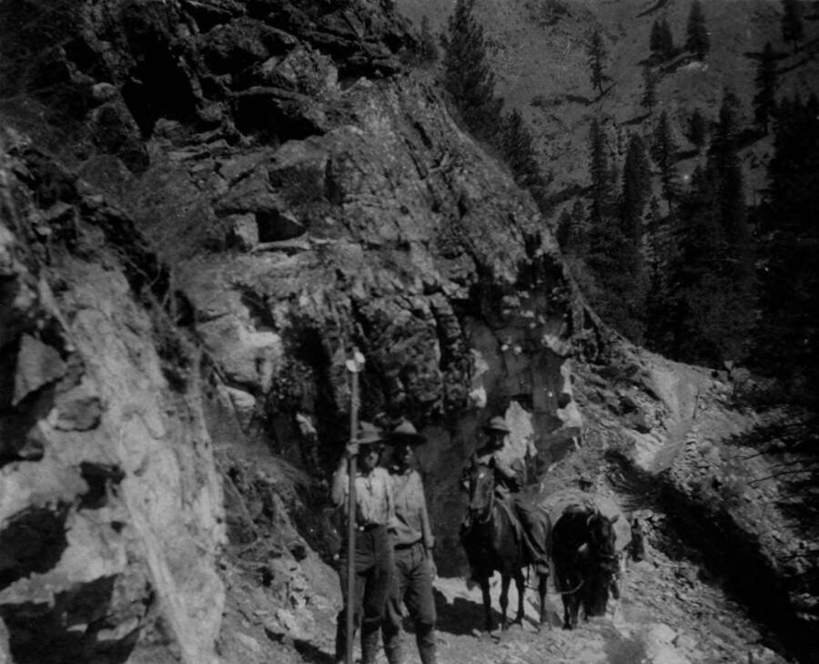 Pack train and rangers on Crevice Trail on Salmon River