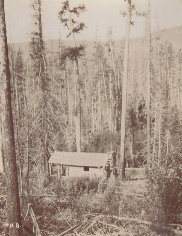 Photo text: 'On road to Priest Lake from Priest River Station, two miles south of East River, Idaho.' Note: This image is part of a short series taken by Gifford Pinchot in Idaho's Priest River region.