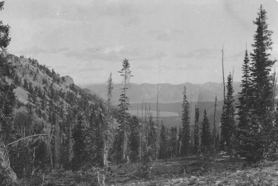 Photo text: 'East slope of Sawtooth Range, Above Alturas Lake, Blaine County.' This is image is part of a report on the proposed Sawtooth Forest Reserve by Hugh P. Baker, 1904.