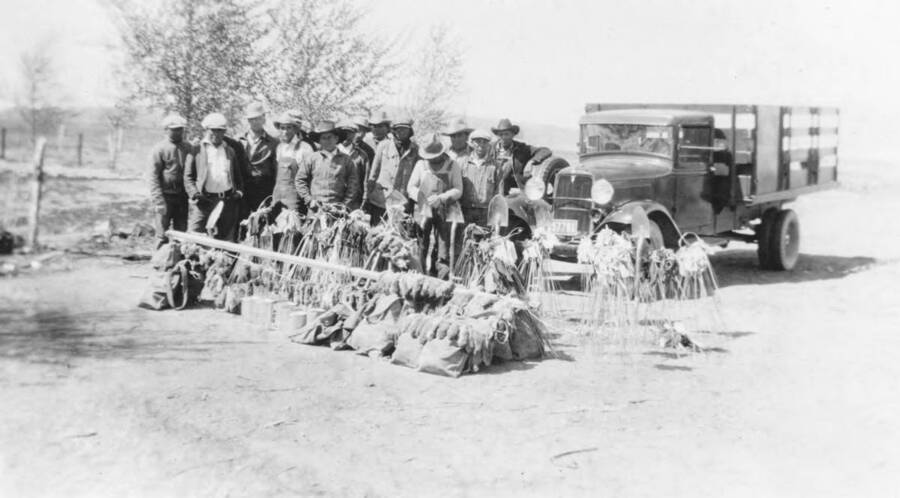 Photo text: 'Indian pocket gopher crew with truck and equipment working on the Fort Hall Indian Reservation District.' This image is part of a report by the United States Department of Agriculture Biological Survey on predation and pests.