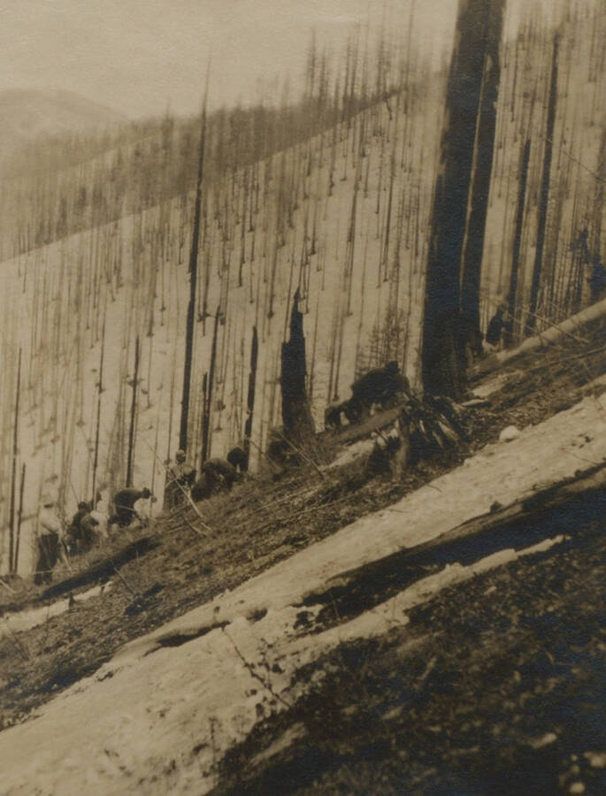 Photo text: 'Planting trees spot method, Placer Creek. (See snow.)' This image is part of a pictorial narrative by William W. Morris titled 'Experiences on a National Forest'.