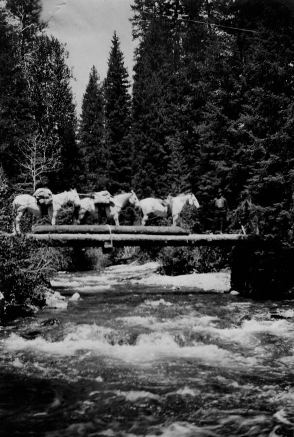 A pack train crosses a bridge at mouth of Little Pistol Creek in the Salmon-Challis National Forest.