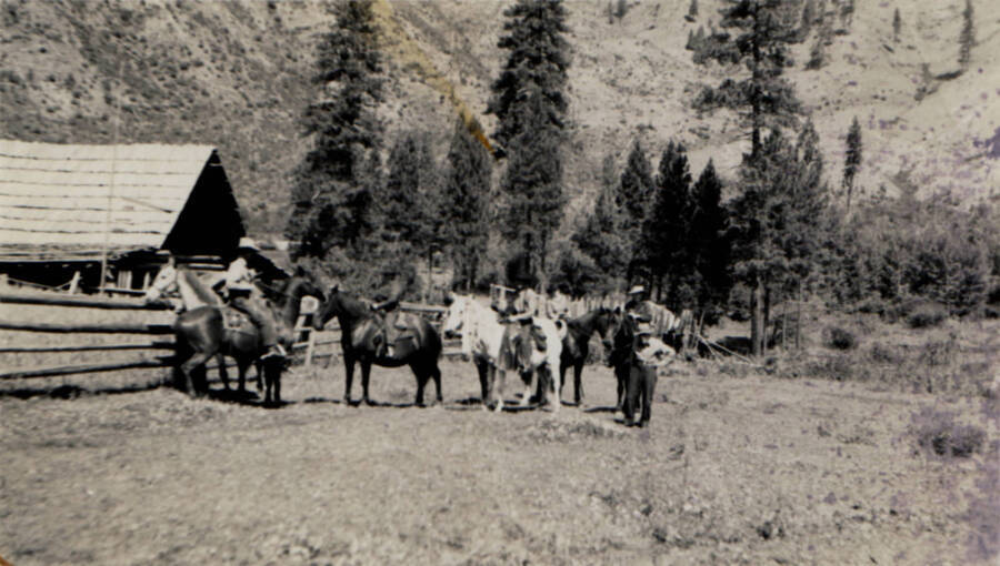 Photo text: 'Bill Hoance at right -- Ben Cook left -- May, Ford, Phyllis Twogood.' This image is part of the Twogood Family Collection whose members were packers and guides in the Selway River area.