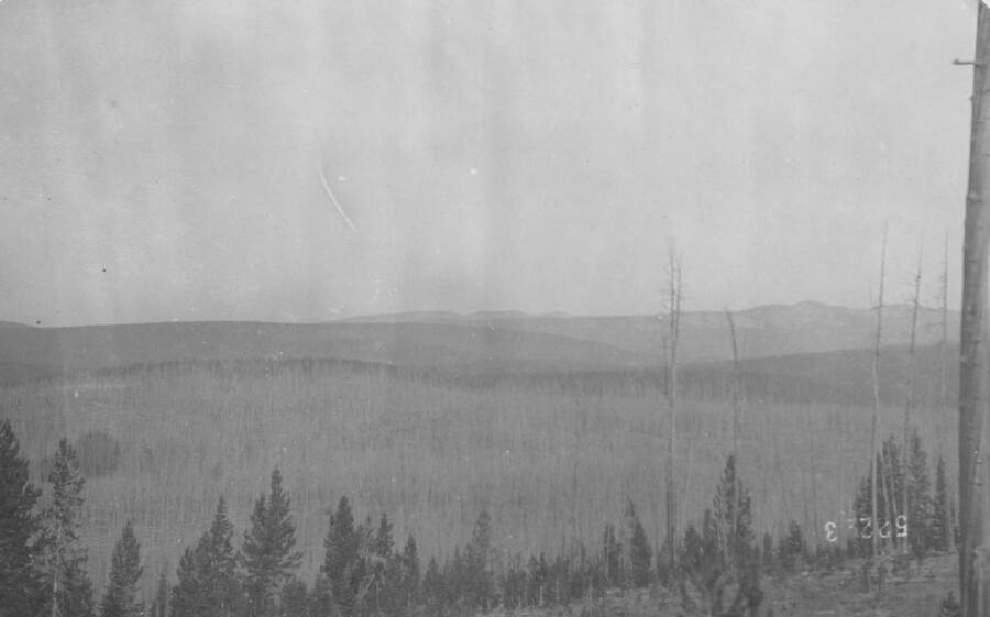 Photo text: 'Burn restocking in lodgepole type.' This is image is part of a report on the proposed Payette Forest Reserve by R.E. Benedict, 1904.