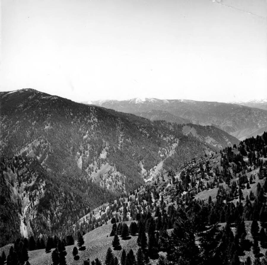 Photo text: 'Looking southwest from ridge between Little Loon and Cougar Creek across Little Loon towards Jackass Gulch Ridge. June 22, 1964.'