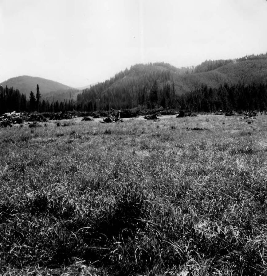 Photo text: 'Looing south across Root Ranch Landing Field.'