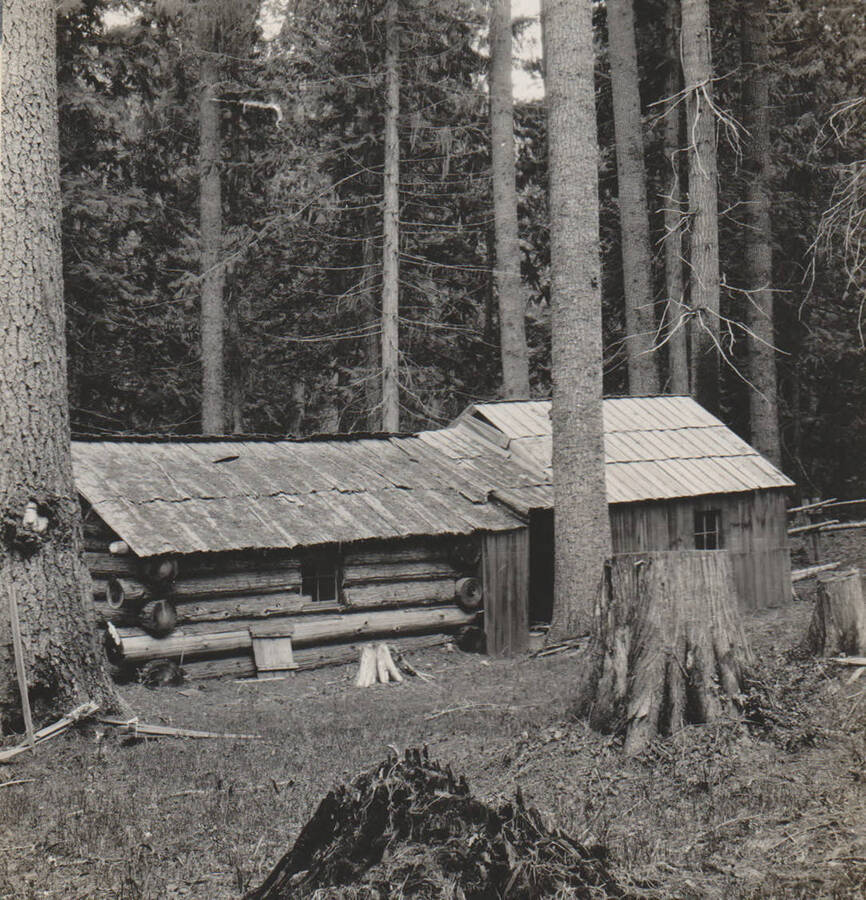 Photo text: 'Cabin on claim of Lyn Lindquist, May 31, 1909. Mr. Lindquist is known to have held four squatter locations on Marble Creek at one time. He resided in Canada, and at opportune times made visits to his claim.' Note: Marble Creek region homesteads at this time were often part of a homesteads fraud being documented by the US Forest Service.