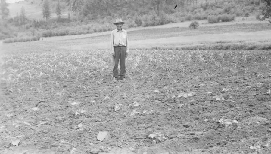 Photo caption: 'Edward Paul of Stites has a garden he is proud of.' This image is part of a report regarding farm organizations among tribes in Northern Idaho and the CCC-Indian Division.