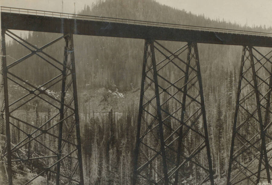 Photo text: 'The whole line of the C.M. and Puget Sound Railroad consisted of large trestles and tunnels.' This image is part of a pictorial narrative by William W. Morris titled 'Experiences on a National Forest'.