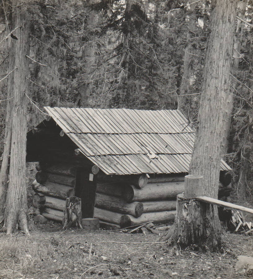 Photo text: 'Cabin on claim of Lettie Louise Logan, May 30, 1909, recently abandoned. For the past 14 years, while holding this claim as her home, she has been constantly employed as a cook in a hospital at Kellogg, Idaho.' Note: Marble Creek region homesteads at this time were often part of a homesteads fraud being documented by the US Forest Service.