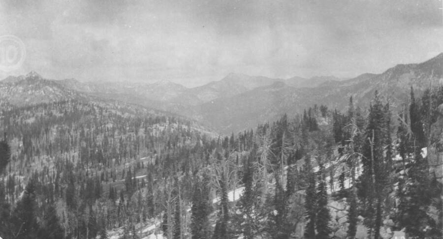 Photo text: 'Altitude 8,000 to 9,000 feet. Timber: Lodgepole and balsam Alpine type.' This is image is part of a report on the proposed Payette Forest Reserve by R.E. Benedict, 1904.