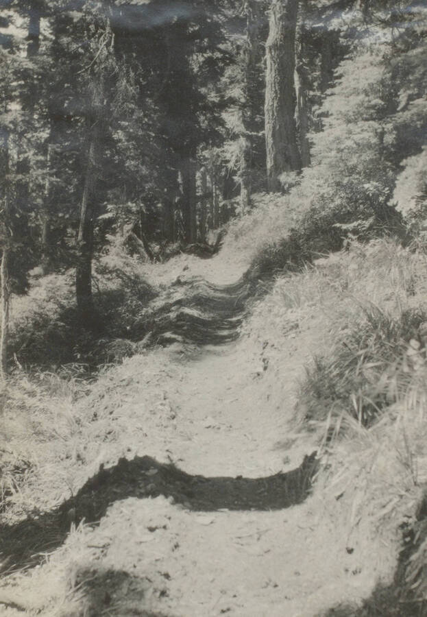 Photo text: 'Trail from Wallace to Striped Peak taken by Dr. Kirkwood and self July 13, !910. Picture by Dr. Kirkwood.' This image is part of a pictorial narrative by William W. Morris titled 'Experiences on a National Forest'.