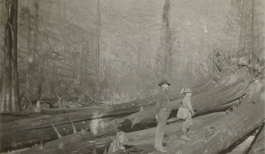 Photo text: 'Crew foreman not so pleased over the prospect of cutting trails.' This image is part of a pictorial narrative by William W. Morris titled 'Experiences on a National Forest'.