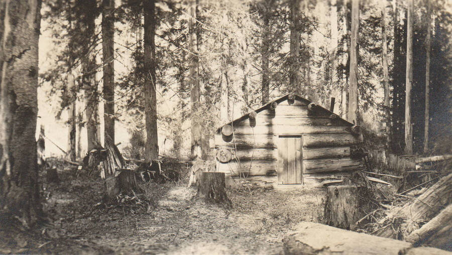 Photo text: 'Cabin of John Shannon in Sec. 9, T. 44 N., R. 3 E., B.M. Canceled after Shannon had sold his claim to McGoldrick Lumber Company, of Spokane, Washington. Merest pretense of residence, cultivation and improvements. Photo, fall of 1909. The proceedings of the case are a matter of record in General Land Offices.' Note: Marble Creek region homesteads at this time were often part of a homesteads fraud being documented by the US Forest Service.