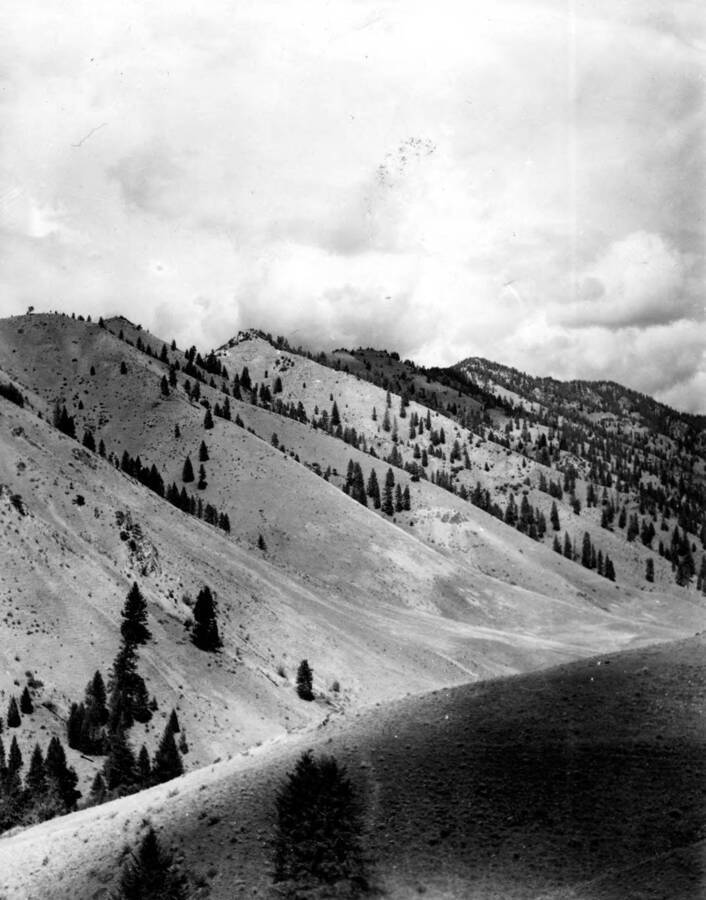 A view of Vinegar Hill near Big Creek within the Idaho Primitive Area, Salmon-Challis National Forest.