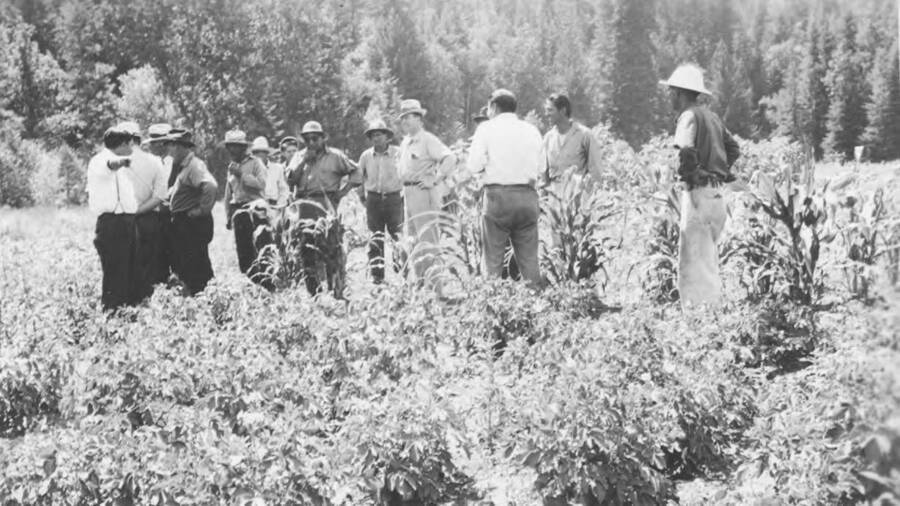 A groups of men inspects the Community Garden on the Nez Perce Reservation. This image is part of a report regarding farm organizations among tribes in Northern Idaho and the CCC-Indian Division.