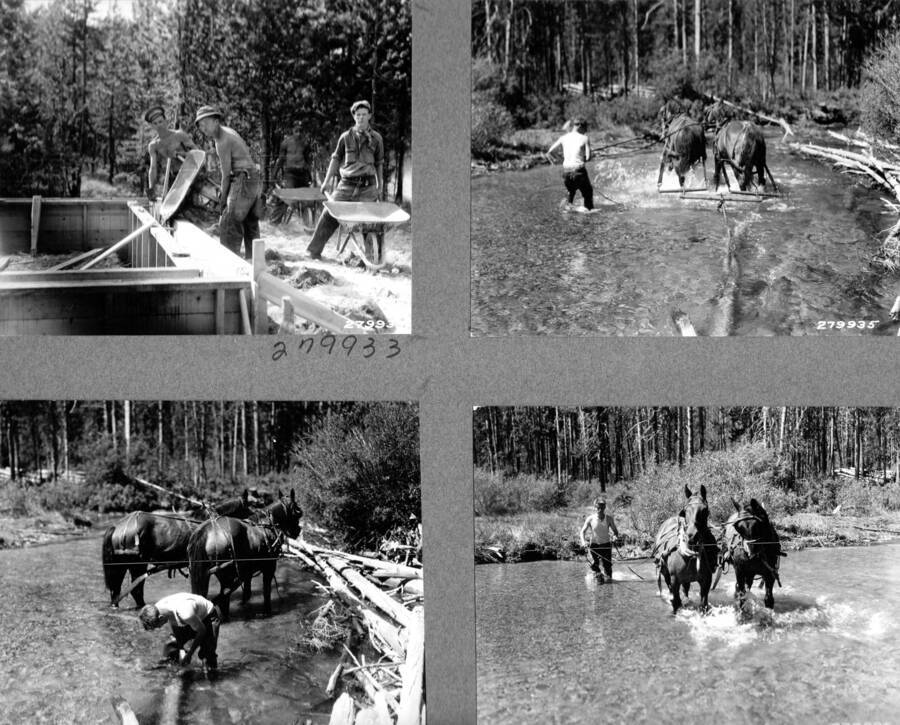 Four photographs showing men mixing cement and pulling drift wood, Red Fish Lake.
