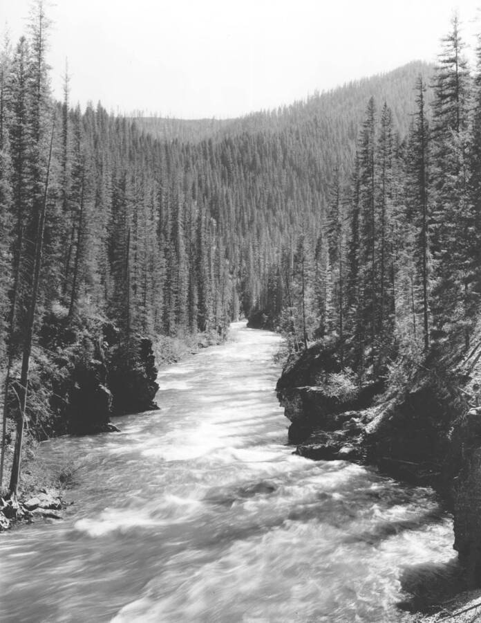 A landscape photograph of a river running through the forest near Avery, Idaho.