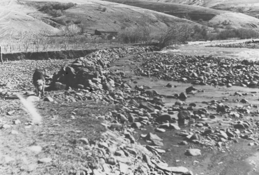 Photo text: 'Nez Perce Reservation. Erosion Control Lapwai Creek Project No. 157. This type of work has prevented much lass of land.' Note: This image is part of a narrative pictoral report to accompany quarterly enrollee program report.