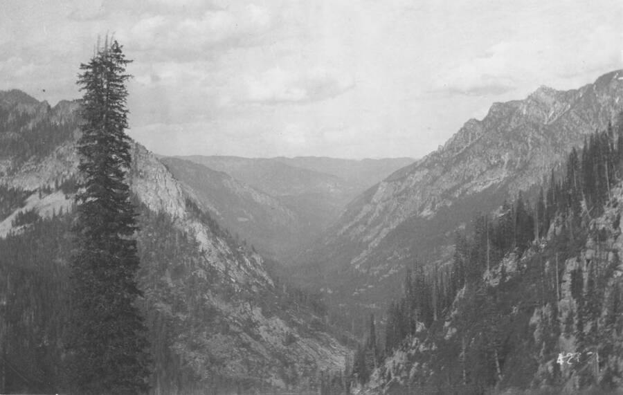 This is image is part of a report on the proposed Payette Forest Reserve by R.E. Benedict, 1904.
