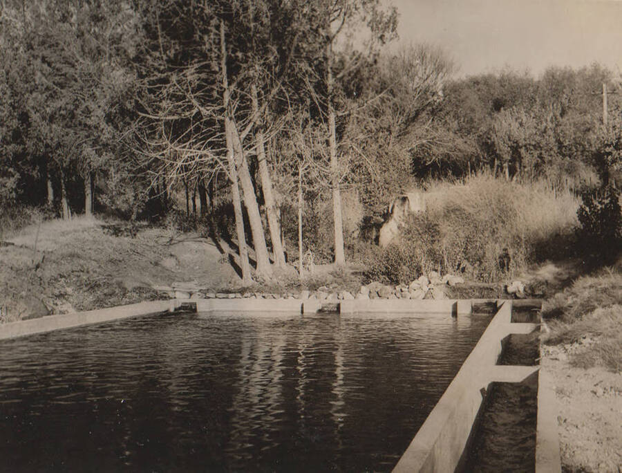 Hagerman Fish Hatchery in Gooding County, Idaho. Note: This image is part of a Work Progress Administration publicity series.