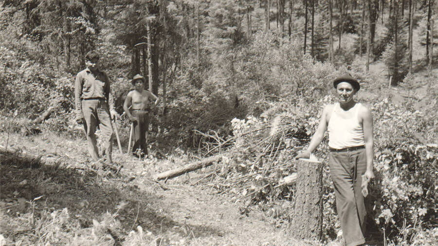 Photo text: 'Enrollees clearing and piling brush off right of way along upper levels of truck trail' Note: This image is part of a pictorial supplement to a report on the North Idaho Agency and the Civilian Conservation Corps - Indian Division by Sidney L. Johnston, Assoc. Forest Engineer.