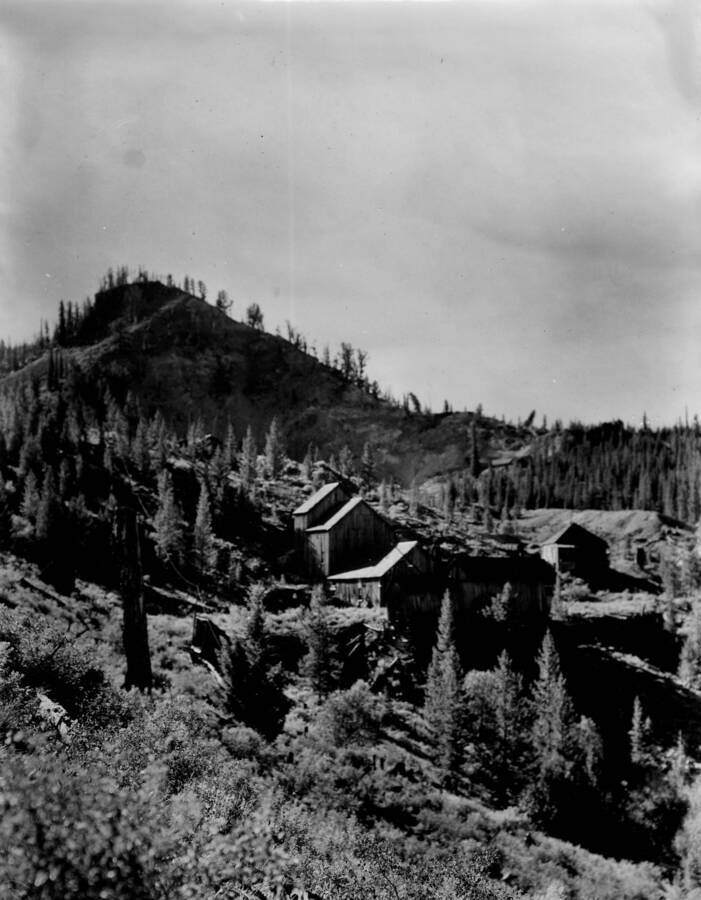 Old Dewey mine on Thunder Mountain in the Salmon-Challis National Forest.