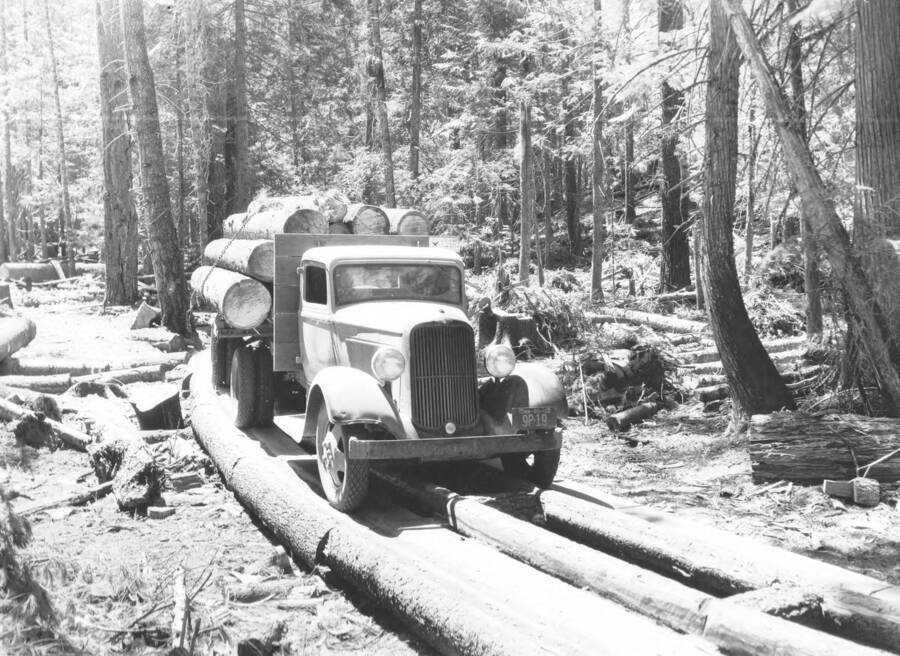 Photo text: '1 1/2 Ton Dodge truck loaded with white pine logs...operation of White Pine Timber Co. near Grangemont. Note pole road construction.'